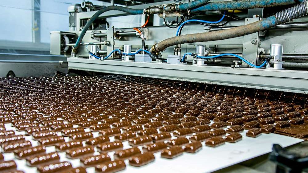 November 2024 Newsletter - Is Downtime Costing You Money? 