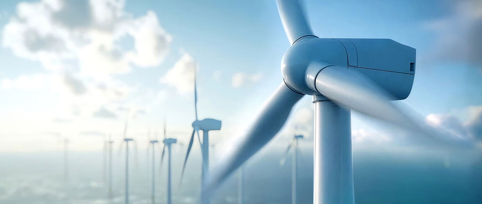 May 2026 Newsletter - Sealing the Energy Transition: What Wind Turbines and Agricultural Machinery H